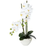 Kunstpflanze Orchidee Phalaenopsis in Keramikschale, weiß, ca. 50 cm