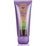 Salerm Cosmetics Biokera Grapeology Maske 200 ml