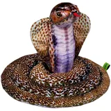 Coppenrath Verlag Kobra - Nature Zoom Wild