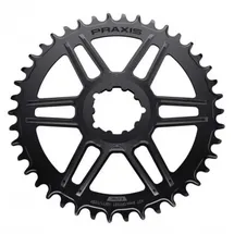 Praxis Dm1x Kettenblatt 36 Zähne Schwarz