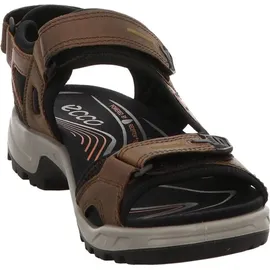 ECCO Offroad Herren espresso/cocoa 48