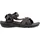 Jack Wolfskin Lakewood Ride Herren cold coffee 45,5