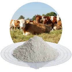 Klinofeed - 25 kg Sack