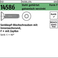 Hörger & Geßler Senkblechschraube ISO 14586 ISR/Zapfen 2,9x22 -F