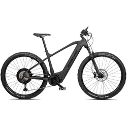 E-Mountainbike 29 Zoll RR900e Bosch Performance CX schwarz matt, EINHEITSFARBE, XL