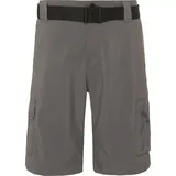 Columbia Silver Ridge Utility Cargo Kurze Hose Grau 38