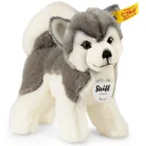 Steiff Bernie Husky