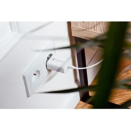 forcell NETZ-Ladegerät mit USB Typ C und iPhone-Anschluss Ladekabel