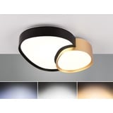 Trio LED Deckenleuchte mit Fernbedienung Schwarz Gold B:43,5cm