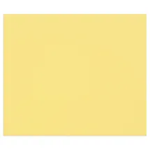 Clairefontaine Tulipe A4 160 g/m2 100 Blatt