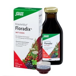 Salus Kräuterblut Floradix mit Eisen 250ml