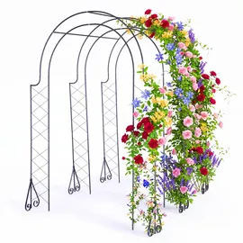 Relaxdays Rosenbogen 250 x 180 x 210 cm Schwarz