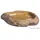 Exo Terra Feeding Dish