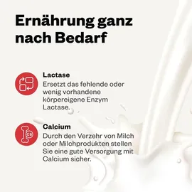 Avitale Lactase Tabletten 80 St.