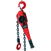 Berger & Schröter Kettenzug Stahl 3000 kg rot