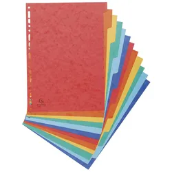 Exacompta Register aus Manilakarton 225g/qm, 12 Positionen, für Format 320x240mm