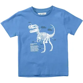 Staccato Dino) - 104/110,