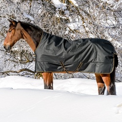 Bucas Irish Turnout Extra 300g High Neck 1200D - black/gold, 120