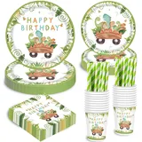 TERLUNNSI Dino Geburtstag Deko Partygeschirr Set, Dinosaurier Geburtstag Party Geschirr, Pappteller Tassen Servietten Strohhalme für Party Kindergeburtstag Deko Junge Mädchen 20 Gäste