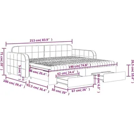 vidaXL Tagesbett Ausziehbar mit Schubladen Schwarz 90x190 cm Samt