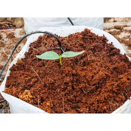Biovita Kokosnussfaser für Pflanzen und Blumen 10 mm 5l