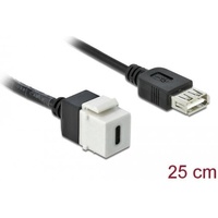 DeLock Keystone module (0.25 m, USB 2.0), USB Kabel