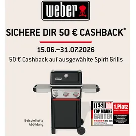 Weber Spirit E-325 GBS schwarz 1500895