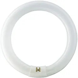 MASTER TL-E Circular -  Fluorescent lamp -  Energieverbrauch: 22.2 W -  Energiee TL-E 22W/840 1CT/12