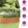 vidaXL Hochbeet Rostig 160 x 80 x 45 cm Cortenstahl