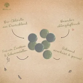 Erdling Chlorella Presslinge Bio Algen Erdling