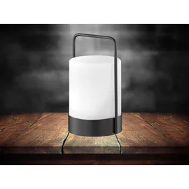 easy! by fhl easy by FHL Casoli Solar Tischleuchte, LED mit RGBW, 850207,