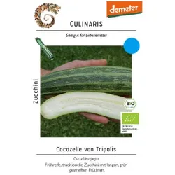 Zucchini Cocozelle von Tripolis