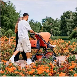 ABC-Design ABC Design Samba carrot 2024