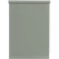 GARDINIA Seitenzugrollo 45 x 150 cm grau