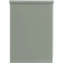GARDINIA Seitenzugrollo 45 x 150 cm grau