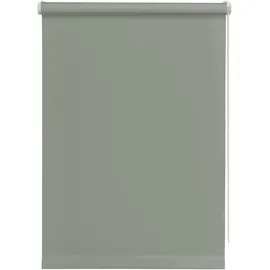 GARDINIA Seitenzugrollo 45 x 150 cm grau