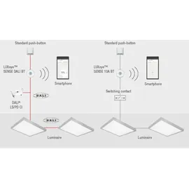 Osram LUXeye Sense DALI BT Präsenzmelder