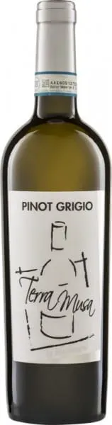 Pinot Grigio Venezia Terra Musa di Moreno Musaragno 2024