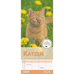 Dumonts Katzen Kalender - Kalender 2026