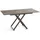 WFL GROUP Axen Dunkelgrau Holz 120-160 x 80 x 38-75 cm