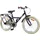 vidaXL Kinderfahrrad 18 Zoll schwarz