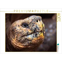 Calvendo Puzzle Galapagos Riesenschildkröte 1000 Teile Lege-Größe 64 x