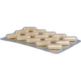 Alsitan Alsifemin 100 Klima Aktiv m.Soja 1x1 Kapseln