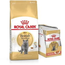 ROYAL CANIN British Shorthair Katzenfutter trocken für Britisch Kurzhaar 10 kg + Nassfutter für Britisch Kurzhaar 12x85 g