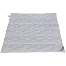 Betten Hofmann 6-Kammer Sommer Daunendecke Daunenbett Punktstepp 240x220 cm, leichte Sommerdecke, Naturprodukt, 100% Daunen