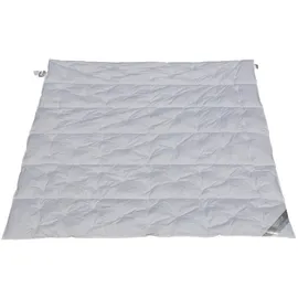 Betten Hofmann 6-Kammer Sommer Daunendecke Daunenbett Punktstepp 240x220 cm, leichte Sommerdecke, Naturprodukt, 100% Daunen