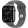 GPS + Cellular 46mm Natural Titanium Sport Band stone grey M/L