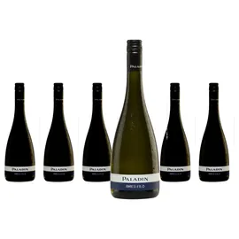 Paladin Amico Filò Vino Bianco Frizzante 6 x 0,75 l
