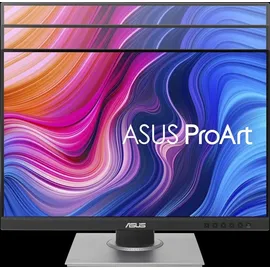Asus ProArt PA248QV 24"