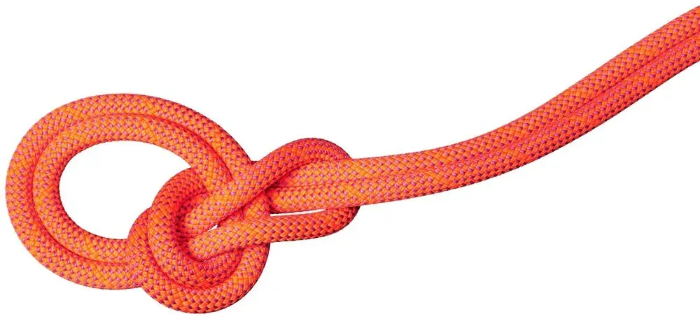 Mammut 9.8 Crag Dry Rope - Kletterseil - 80m